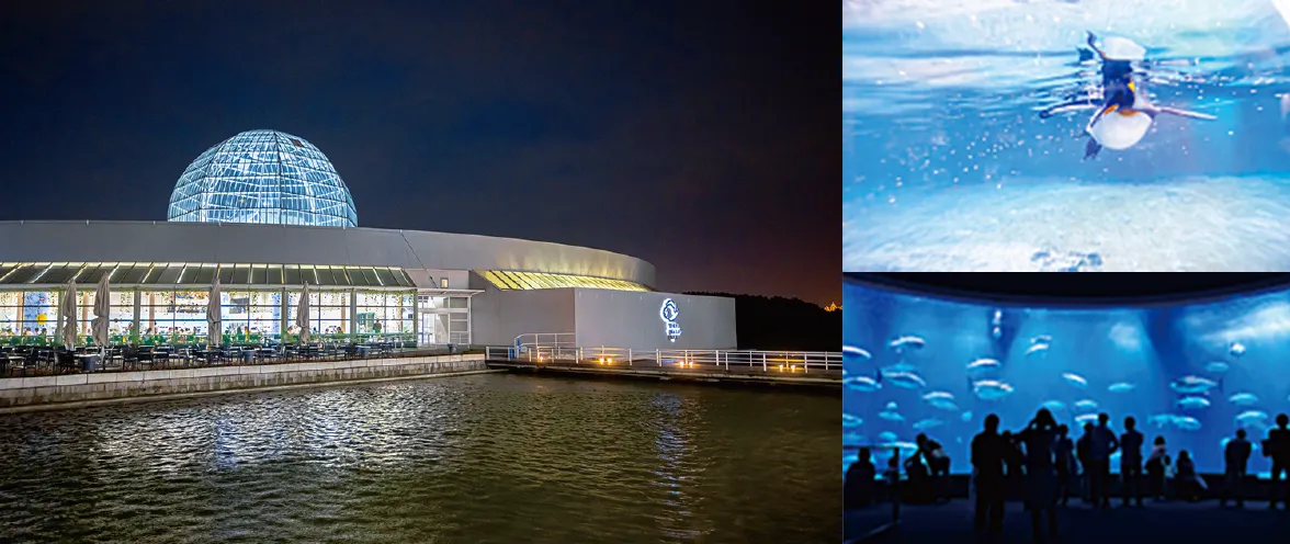 東京都葛西臨海水族園