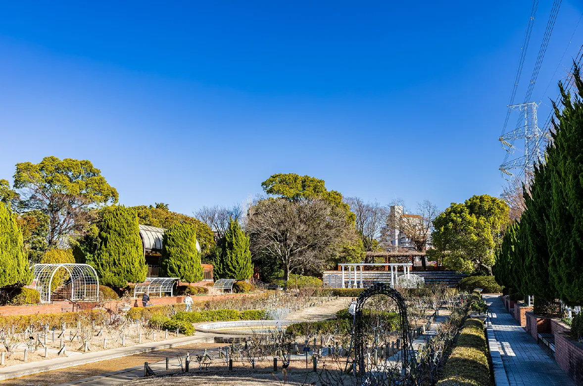 総合レクリエーション公園
