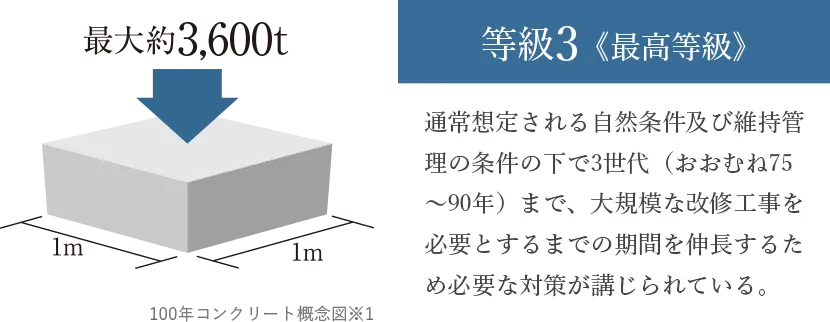 100年コンクリート概念図