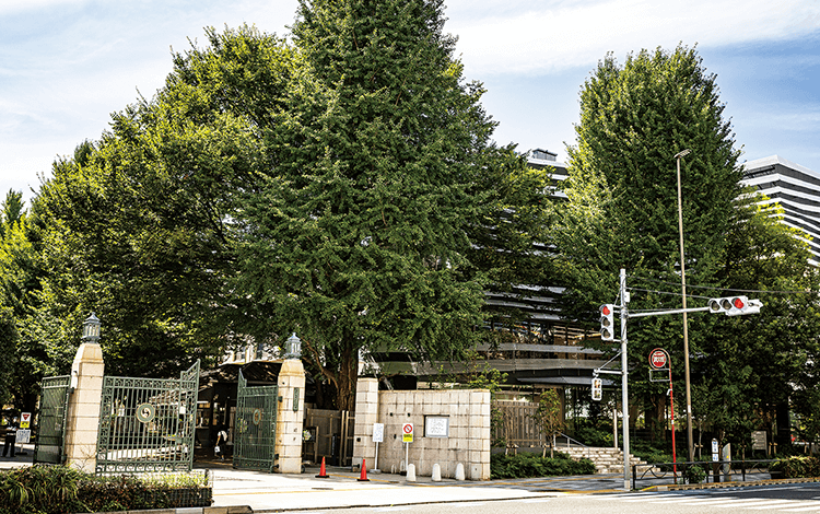 お茶の水女子大学附属幼稚園・小学校・中学校・高等学校