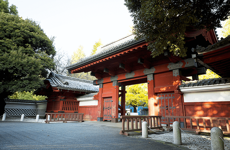 東京大学