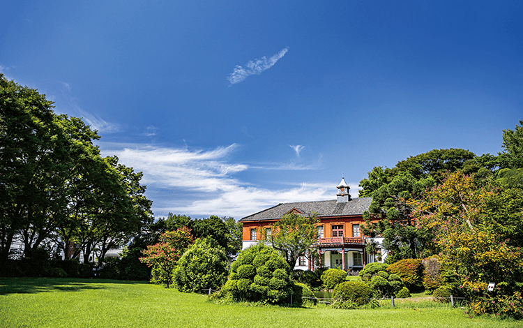 小石川植物園