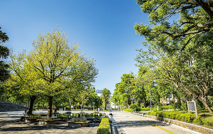 教育の森公園