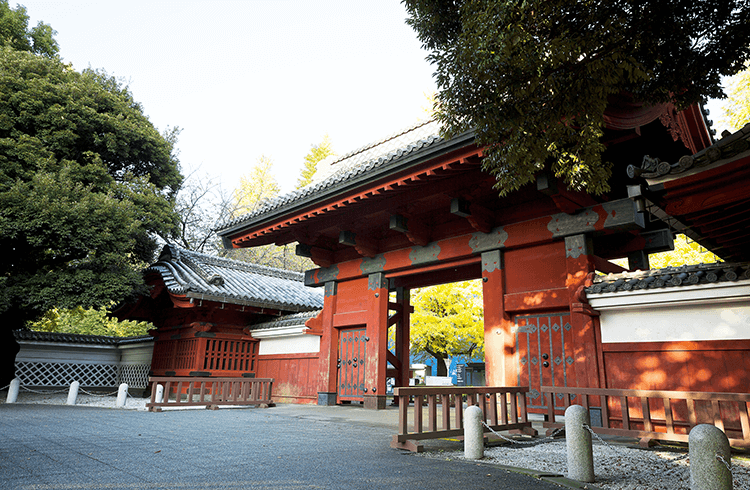 東京大学