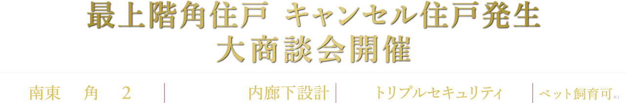 家具付きモデルルーム住戸販売中